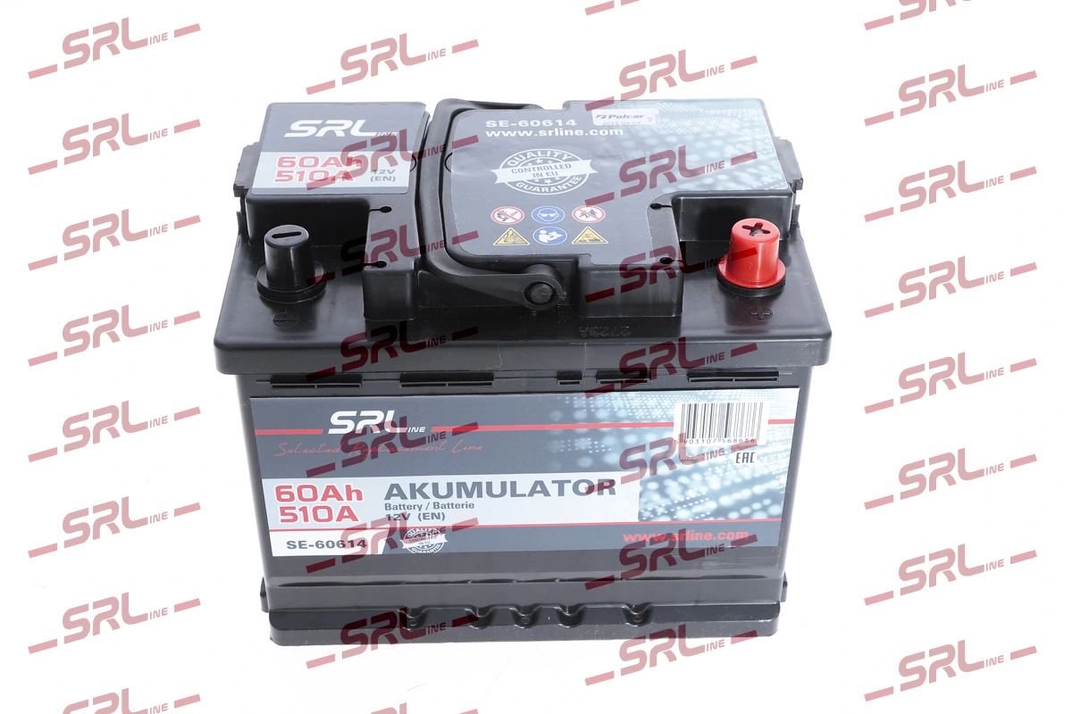 Starter Battery