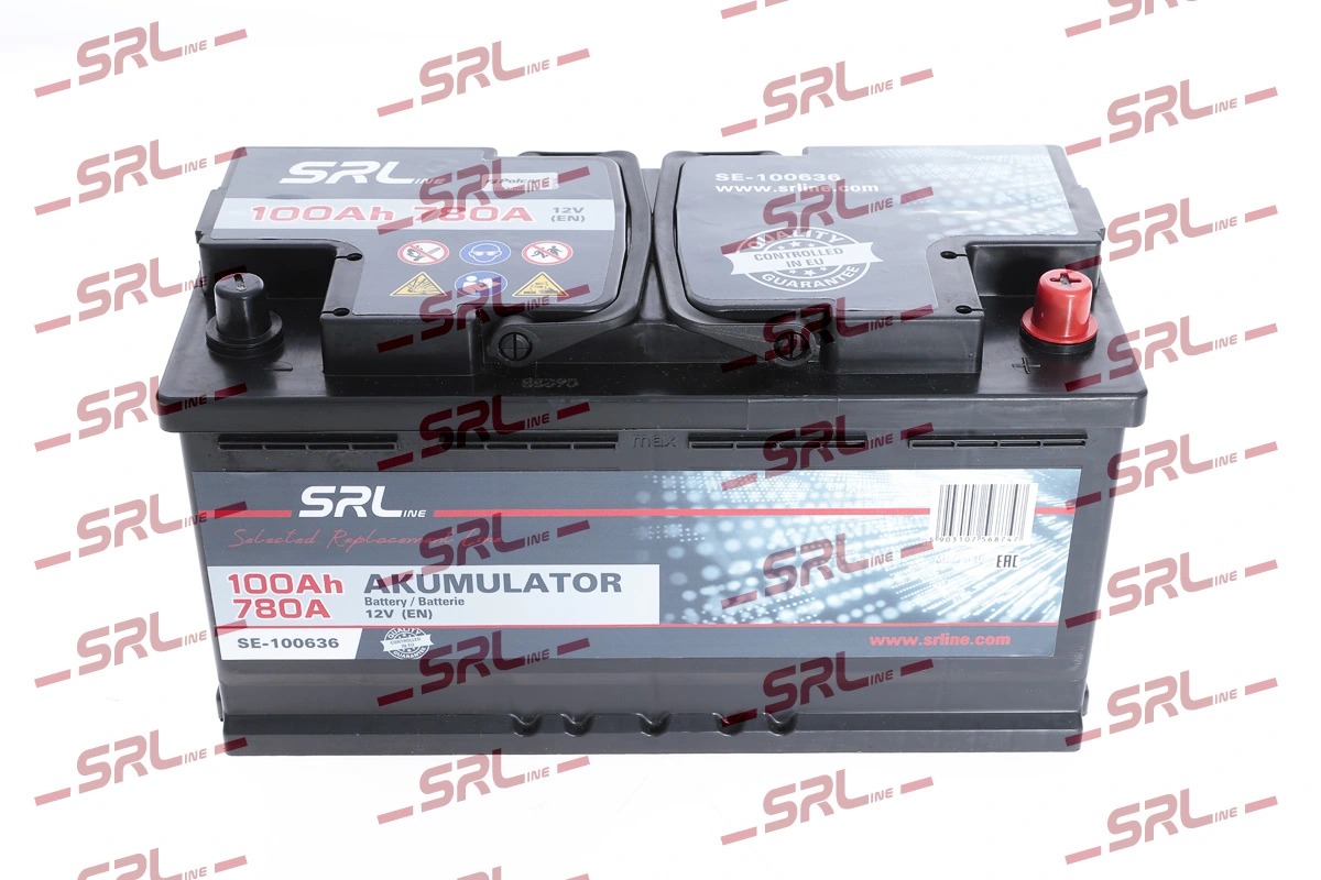 Starter Battery