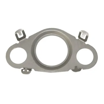 Gasket, EGR valve