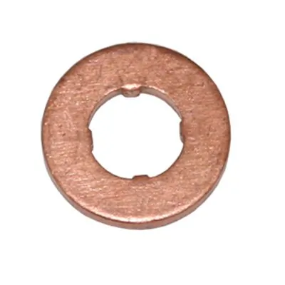Seal Ring, nozzle holder