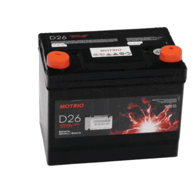 Starter Battery