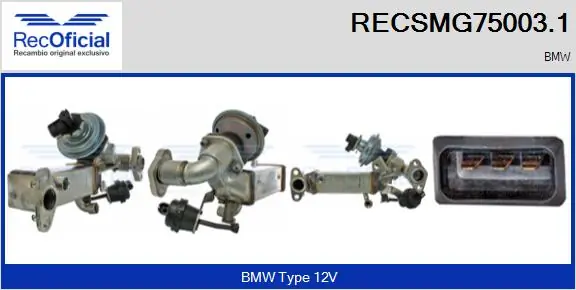 EGR Module