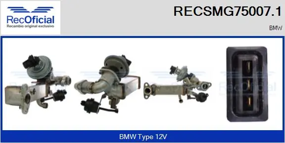 EGR Module
