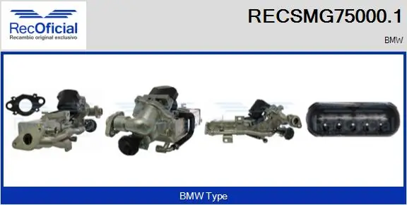 EGR Module