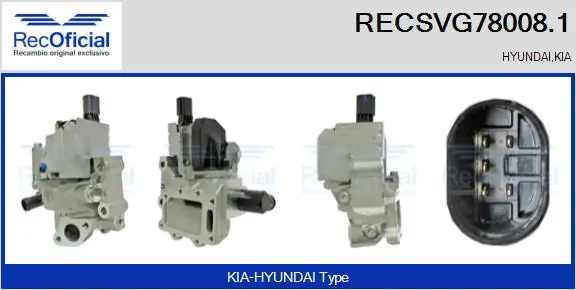 EGR Valve