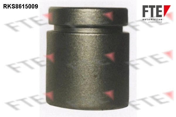 Piston, étrier de frein FTE 9313004