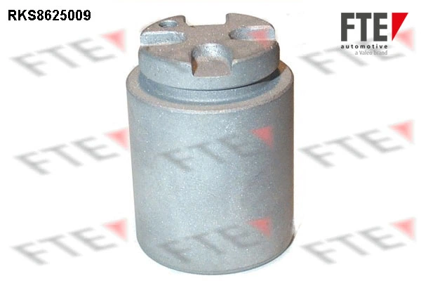 Piston, étrier de frein FTE RKS8625009
