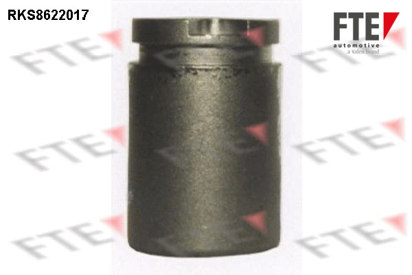 Piston, étrier de frein FTE RKS8622017