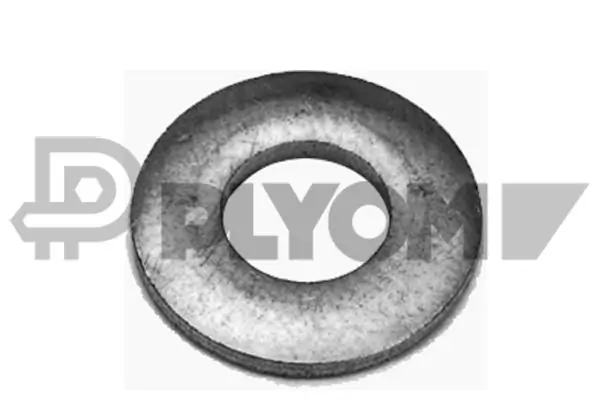 Seal Ring, injector