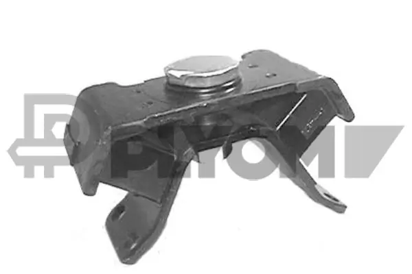 Mounting, engine