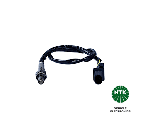 Oxygen Sensor