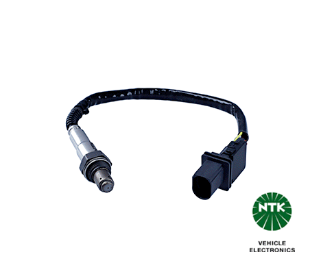 Oxygen Sensor