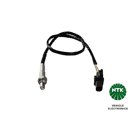 Oxygen Sensor