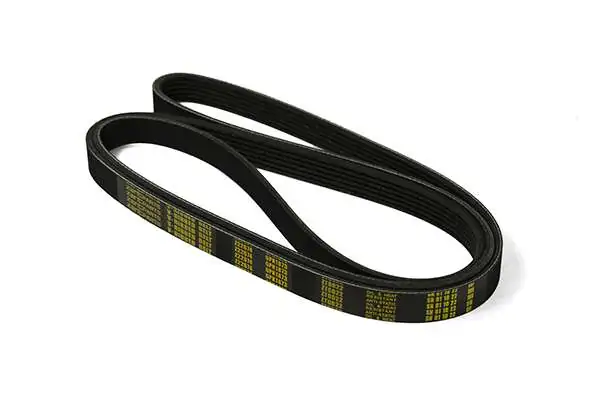 V-Ribbed Belt
