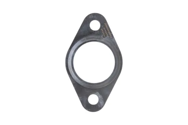 Gasket, EGR valve