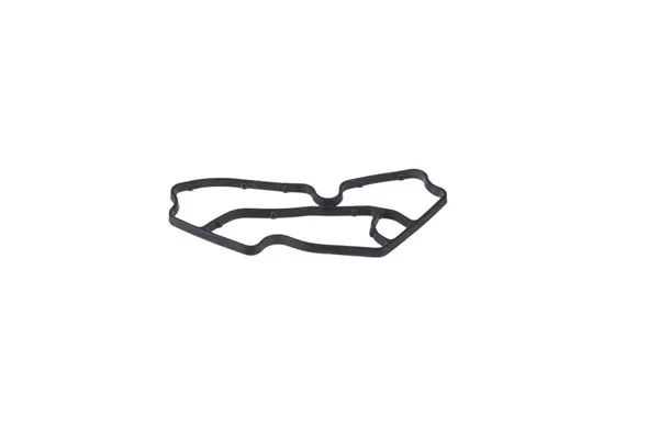 Gasket, oil filter housing