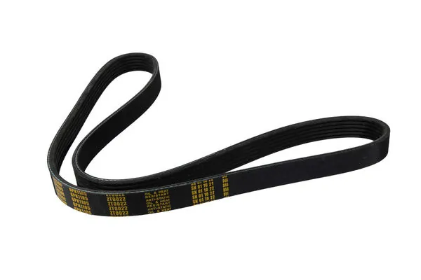 V-Ribbed Belt