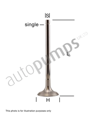 Intake Valve
