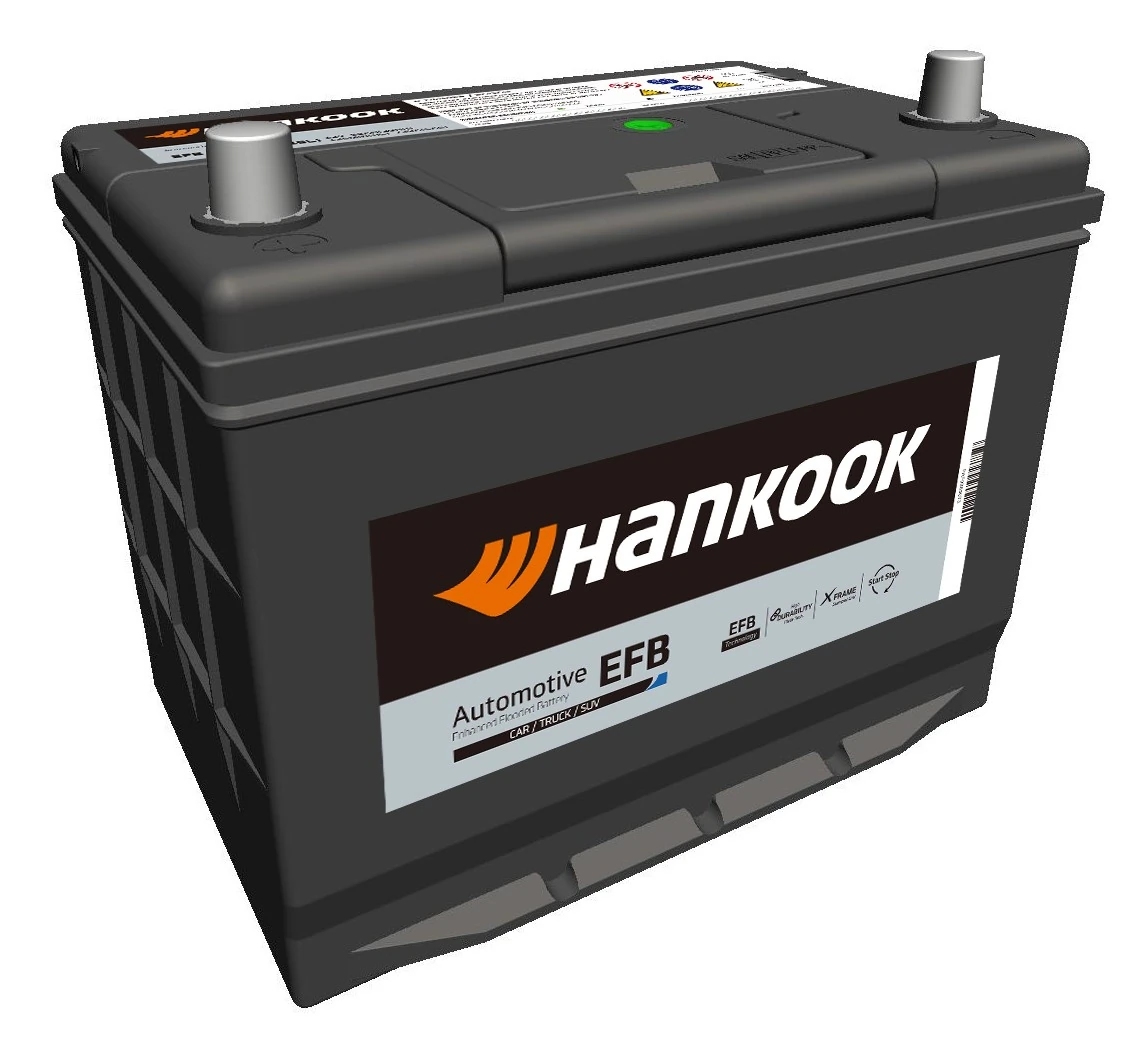 Starter Battery