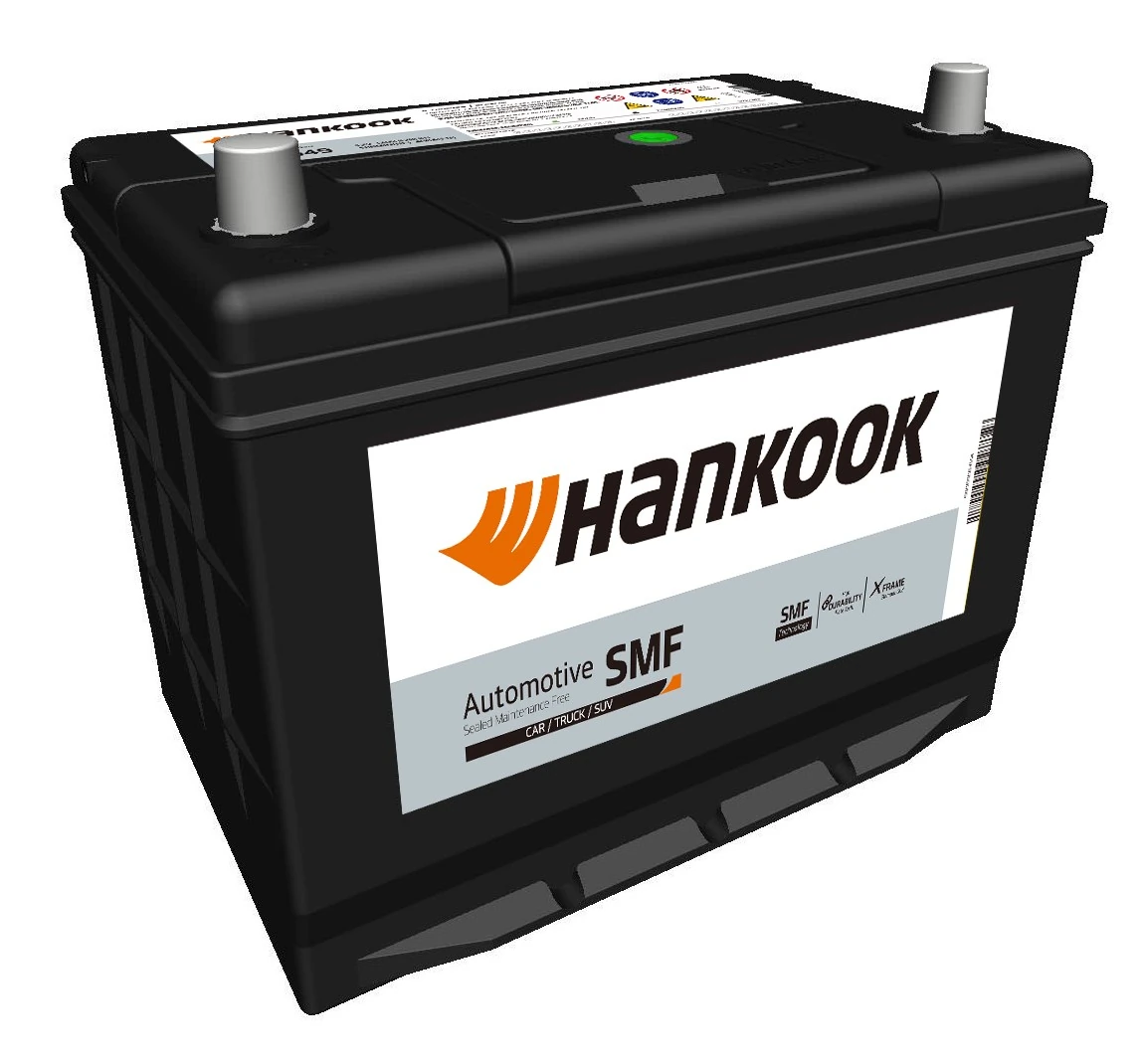 Starter Battery
