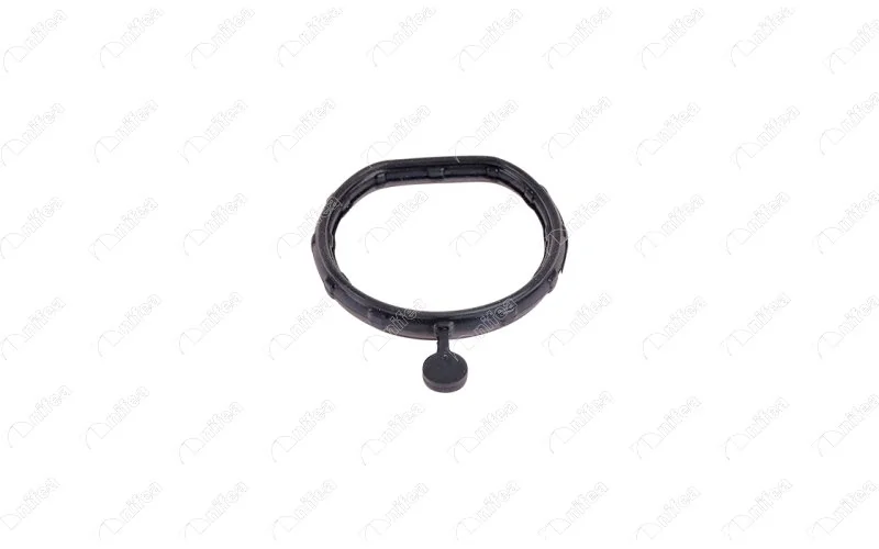 Gasket, coolant flange