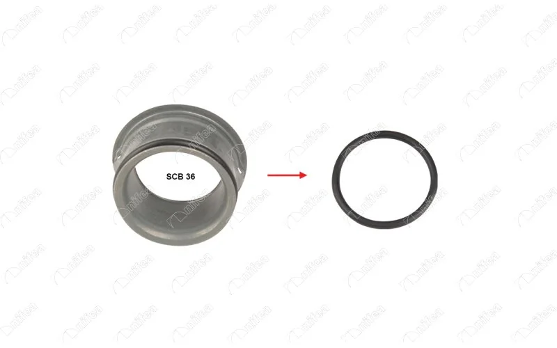 Seal Ring, coolant pipe