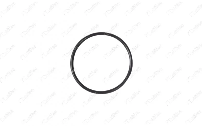 Gasket, vacuum pump