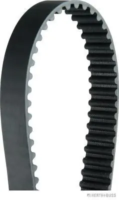 Timing Belt