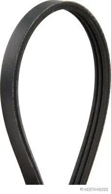 V-Ribbed Belt