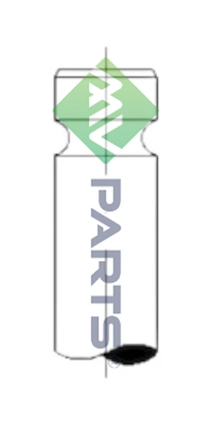 Intake Valve