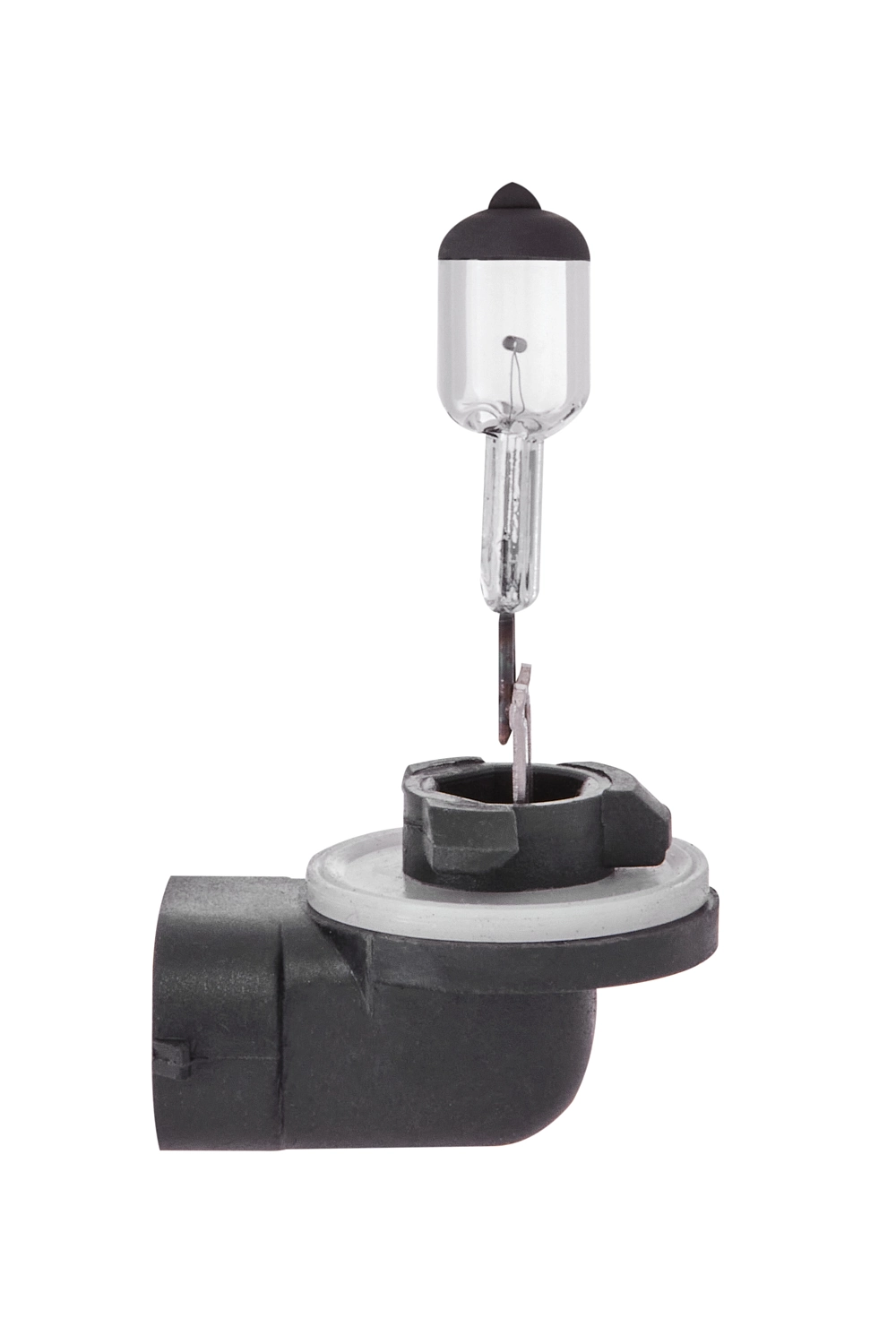 Bulb, front fog light
