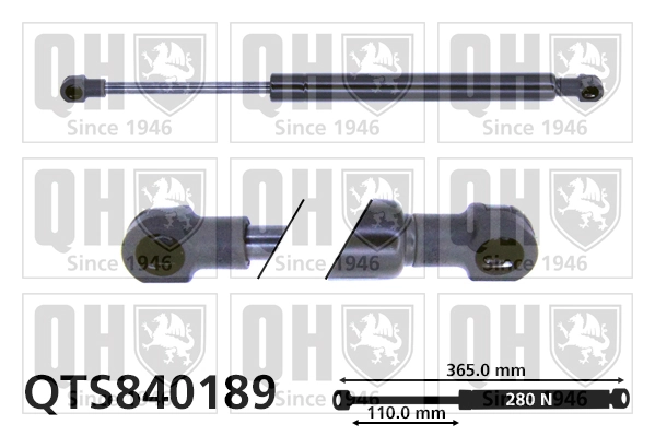 Gas Spring, boot/cargo area