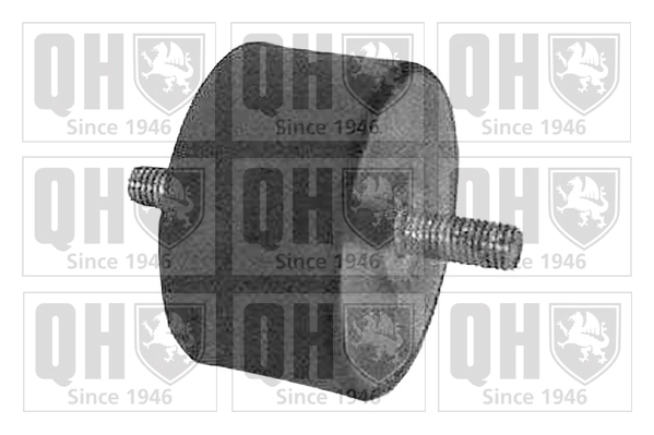 Mounting, engine