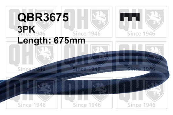 V-Ribbed Belt