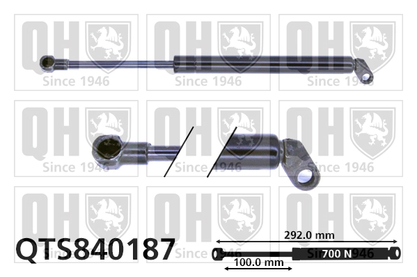 Gas Spring, boot/cargo area