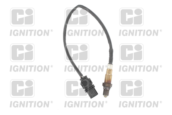 Oxygen Sensor