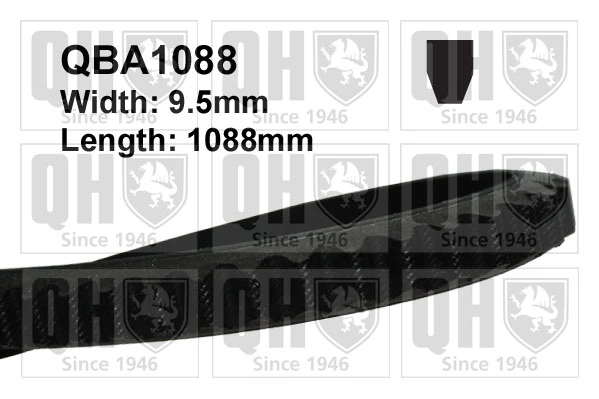 V-Belt