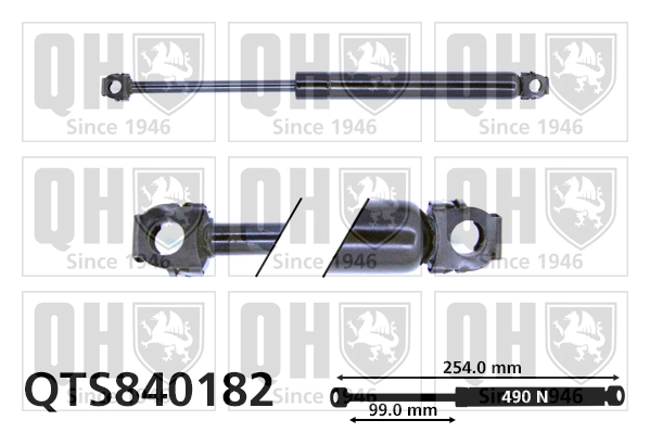 Gas Spring, boot/cargo area