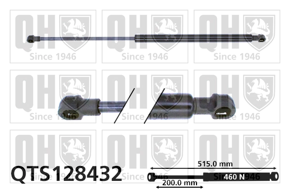 Gas Spring, boot/cargo area