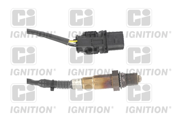 Oxygen Sensor