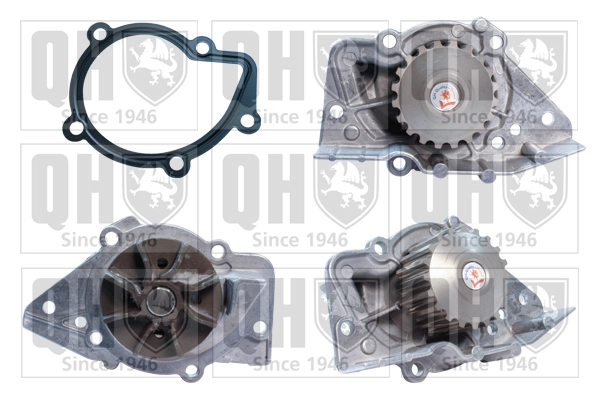 Pompe a eau partner 1.9D Berlango