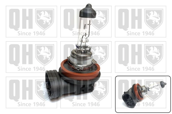Bulb, front fog light
