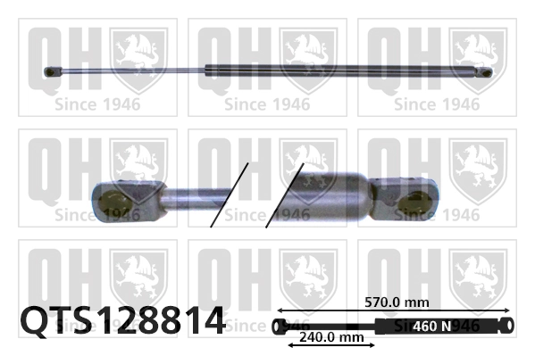 Gas Spring, boot/cargo area