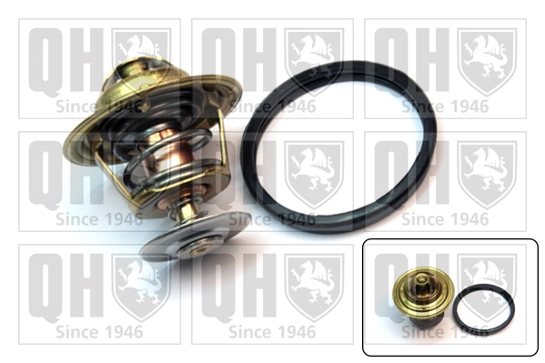 Thermostat, coolant