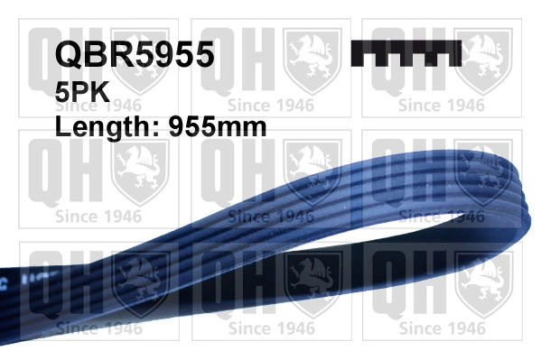 V-Ribbed Belt