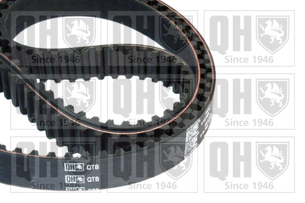 Timing Belt