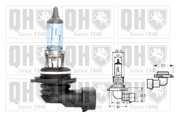 Bulb, front fog light