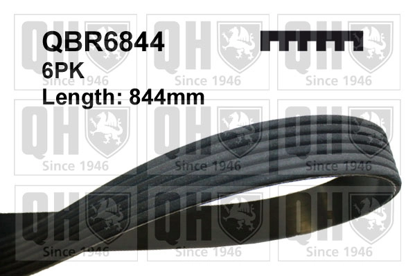 V-Ribbed Belt
