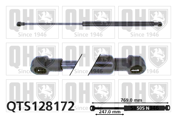 Gas Spring, boot/cargo area