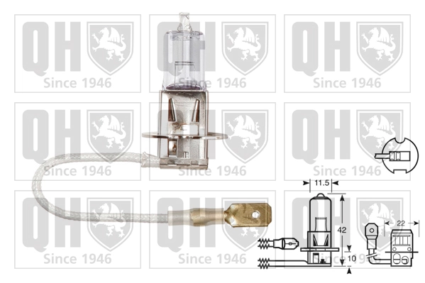 Bulb, front fog light